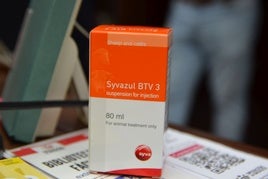 Vacuna Syvazul destinada al ganado ovino para prevenir la lengua azul.