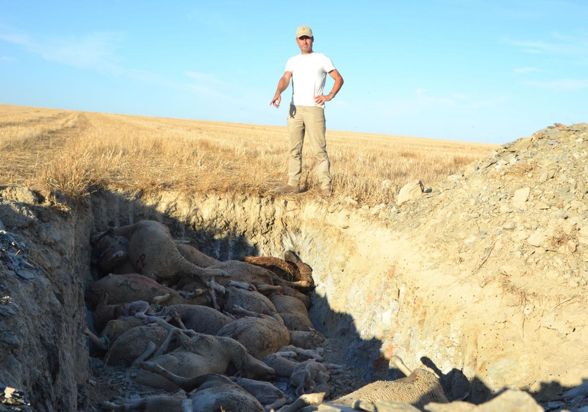 El vecino Rafael Chávez muestra una de las primeras fosas en las que se depositaron las ovejas muetas.