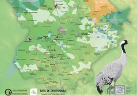 El Club Birding Extremadura destaca el embalse de Cuncos para observar grullas