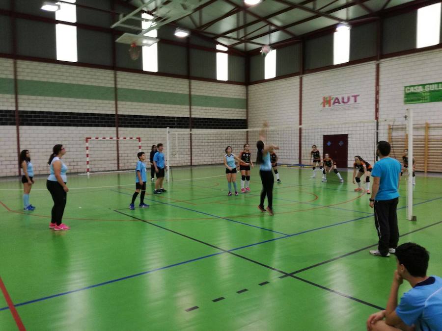 Concentración de voleibol comarcal. CEDIDA l