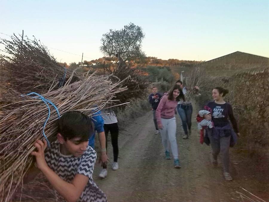 Madres y niños del AMPA Nuevo Futuro recogieron gamonas para Nochebuena