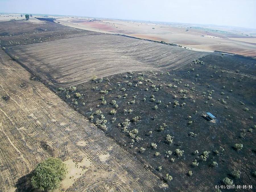Vista aérea de la zona calcinada. CEDIDA