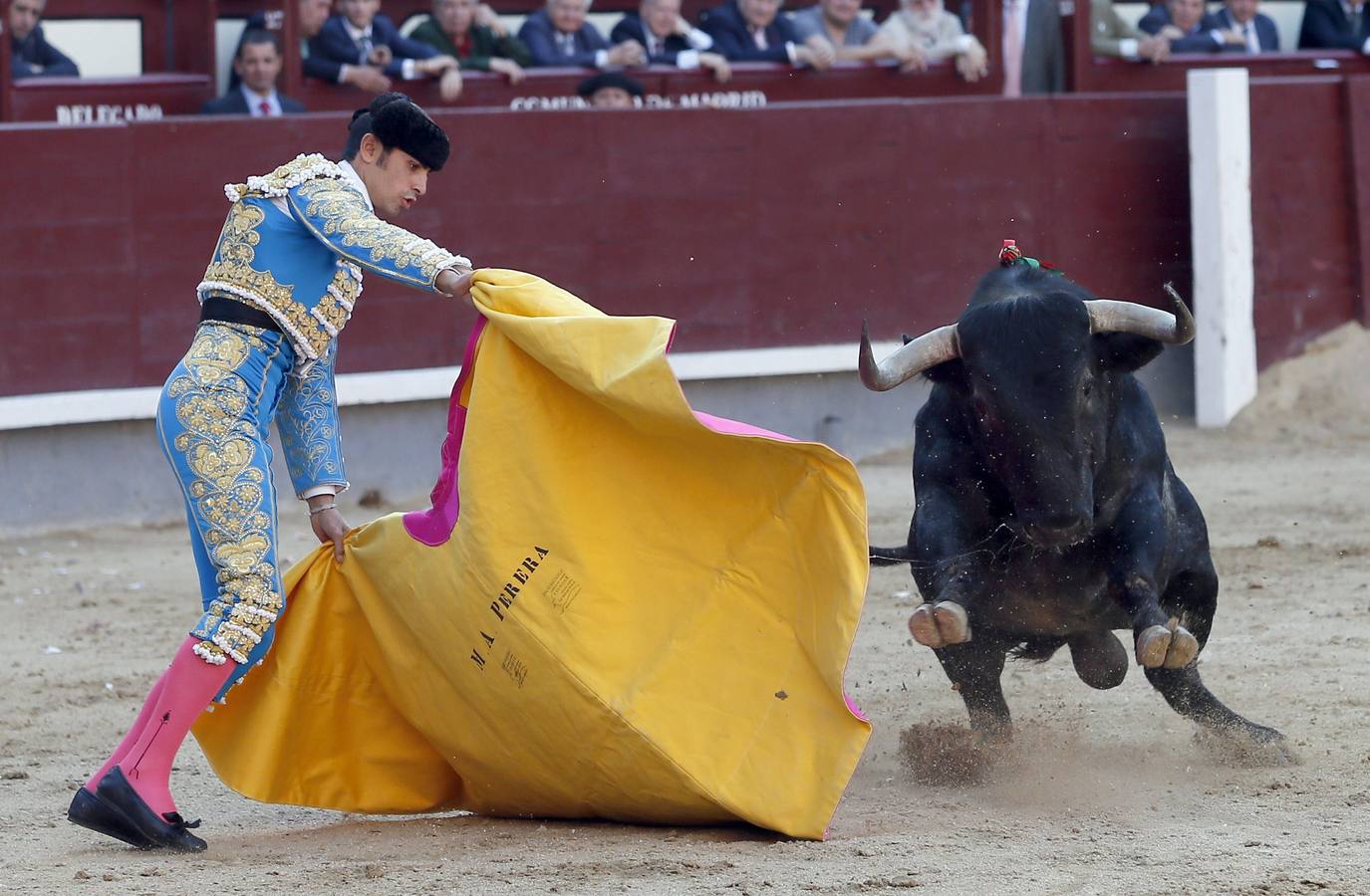 Martes, 3 de junio. El diestro Miguel Ángel Perera recibe con el capote al primero de su lote durante el vigésimo quinto festejo de la Feria de San Isidro celebrado en la Monumental de Las Ventas, donde ha compartido cartel con Antonio Ferrera y Diego Urdiales, y se han lidiado reses de Adolfo Martín. EFE/JuanJo Martín