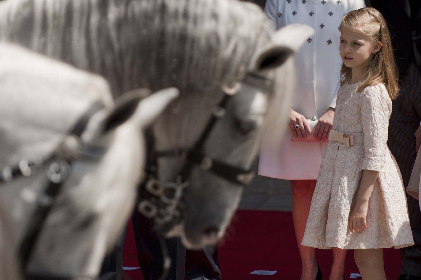 Curiosidades de la proclamación