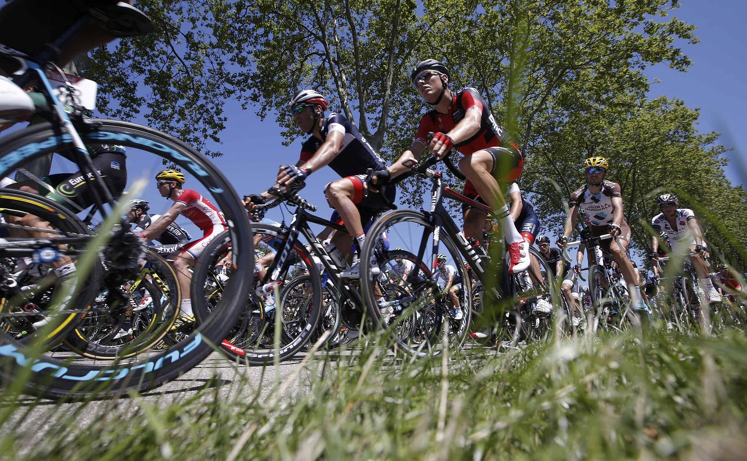 Imagen del pelotón durante la decimosegunda etapa del Tour