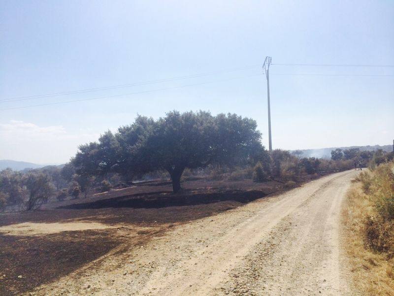 Incendio en Oliva de Plasencia