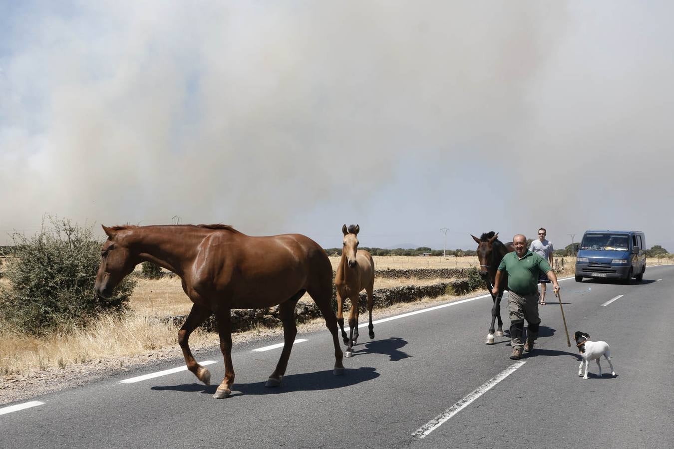 Incendio en Oliva de Plasencia