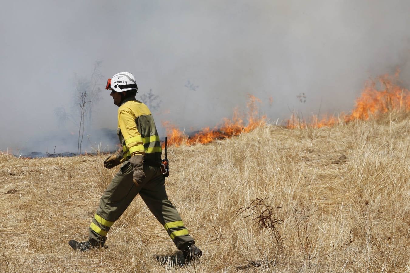 Domingo 17 de agosto: Un incendio en Oliva de Plasencia obliga a desalojar naves y viviendas. El viento cambiante durante la tarde complicó la extinción de un fuego que rodeó el pueblo. Andy Solé