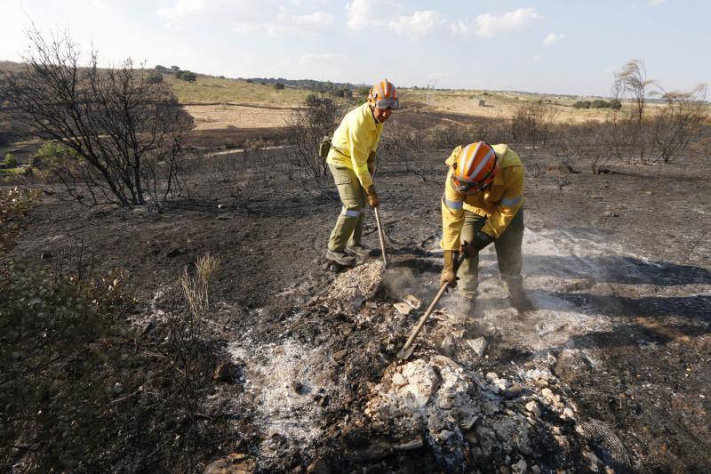 Incendio en Oliva de Plasencia