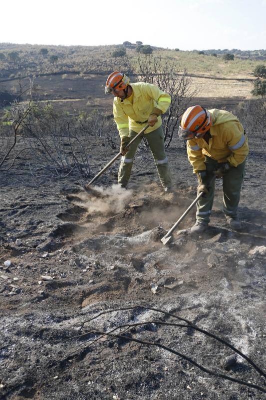 Incendio en Oliva de Plasencia
