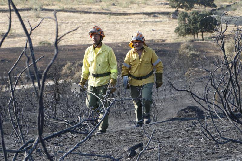 Incendio en Oliva de Plasencia