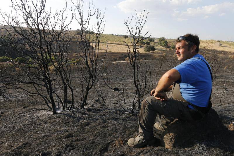 Incendio en Oliva de Plasencia