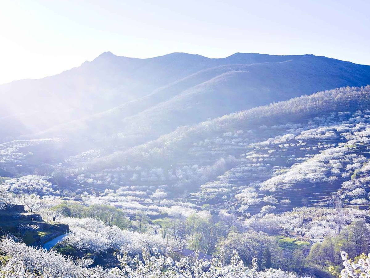 Amanecer en el valle del jerte