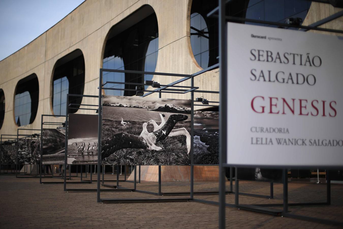 Miércoles 3 de septiembre: Con motivo de la exposición en Brasil del trabajo 'Genesis', el fotógrafo brasileño Sebastiao Salgado donó la fotografía "xamas no Xingu" al gobierno brasileño durante un acto celebrado en el Palacio de Itamaraty, en Brasilia. REUTERS / Ueslei Marcelino