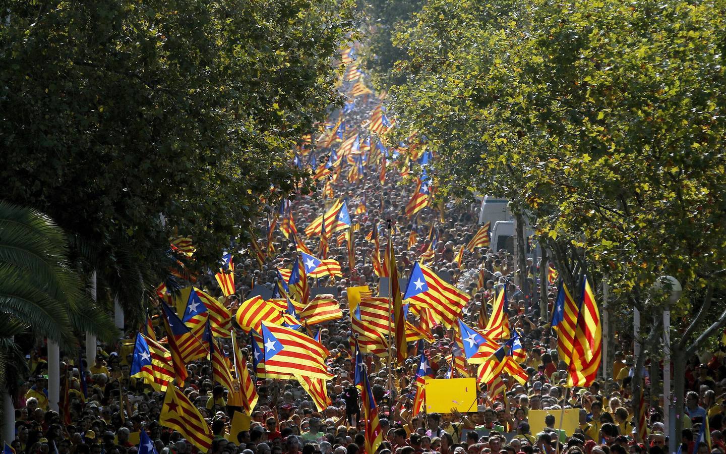 Jueves 11 de septiembre: Miles de personas se han concentrado con camisetas rojas y amarillas en la Avenida Diagonal y la Gran Vía de Barcelona a favor de una consulta soberanista el 9 de noviembre. Foto: EFE/Alberto Estévez