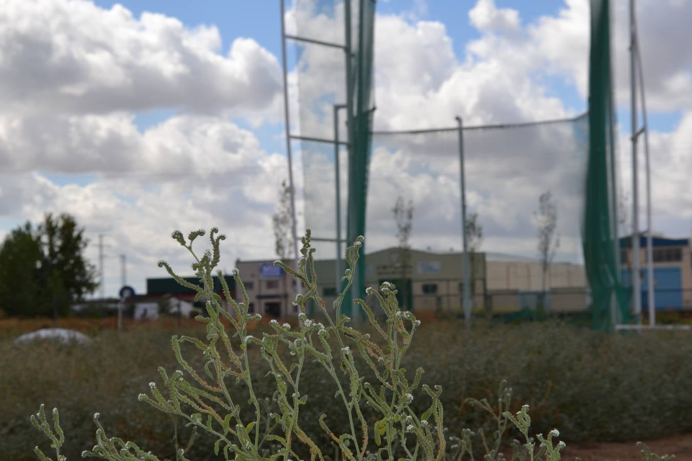 Estado de las instalaciones del Club de Atletismo de Montijo