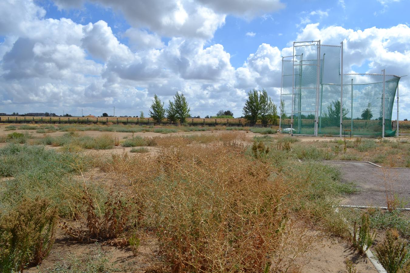 Estado de las instalaciones del Club de Atletismo de Montijo