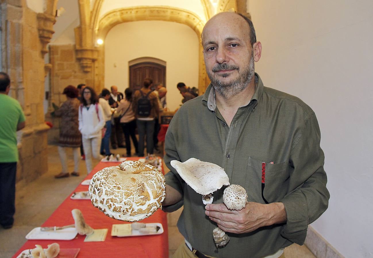 Comienzan los Lunes Micológicos en Cáceres