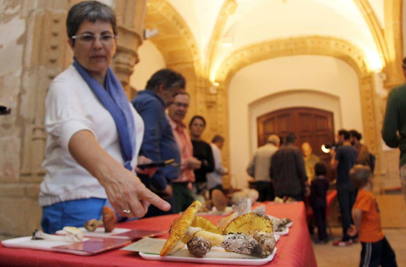 Comienzan los Lunes Micológicos en Cáceres