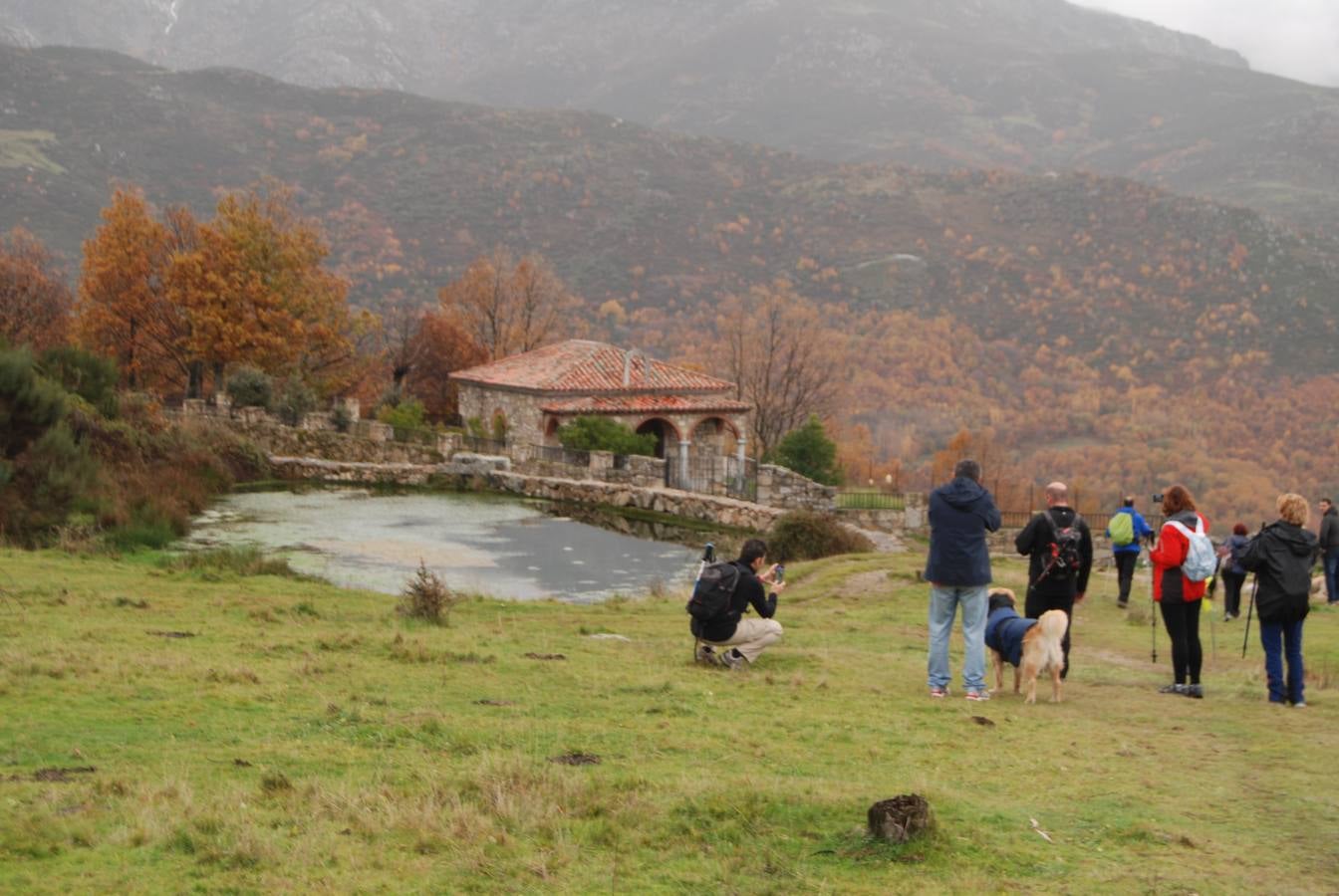 Embrujados por el encanto otoñal del Ambroz