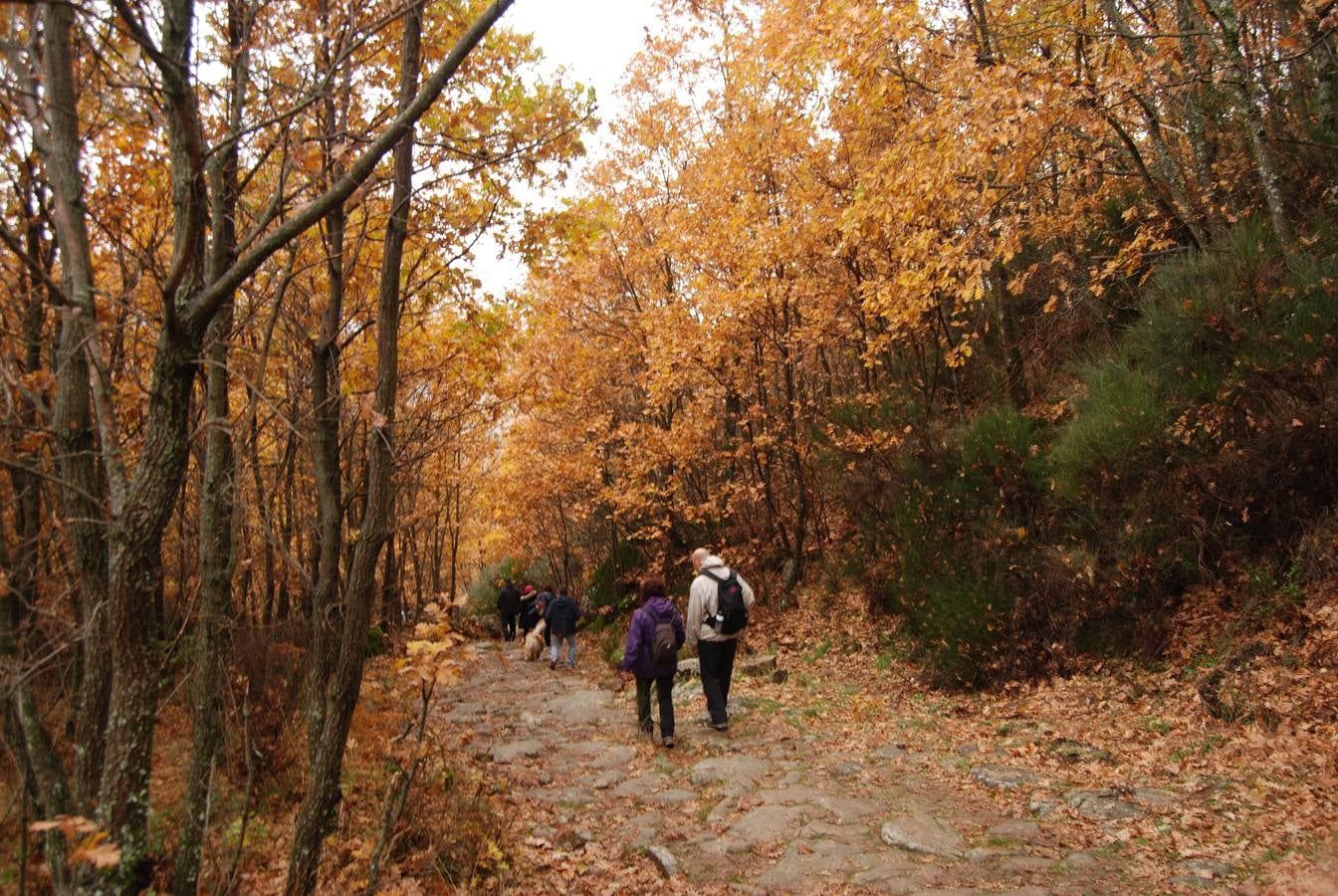Embrujados por el encanto otoñal del Ambroz