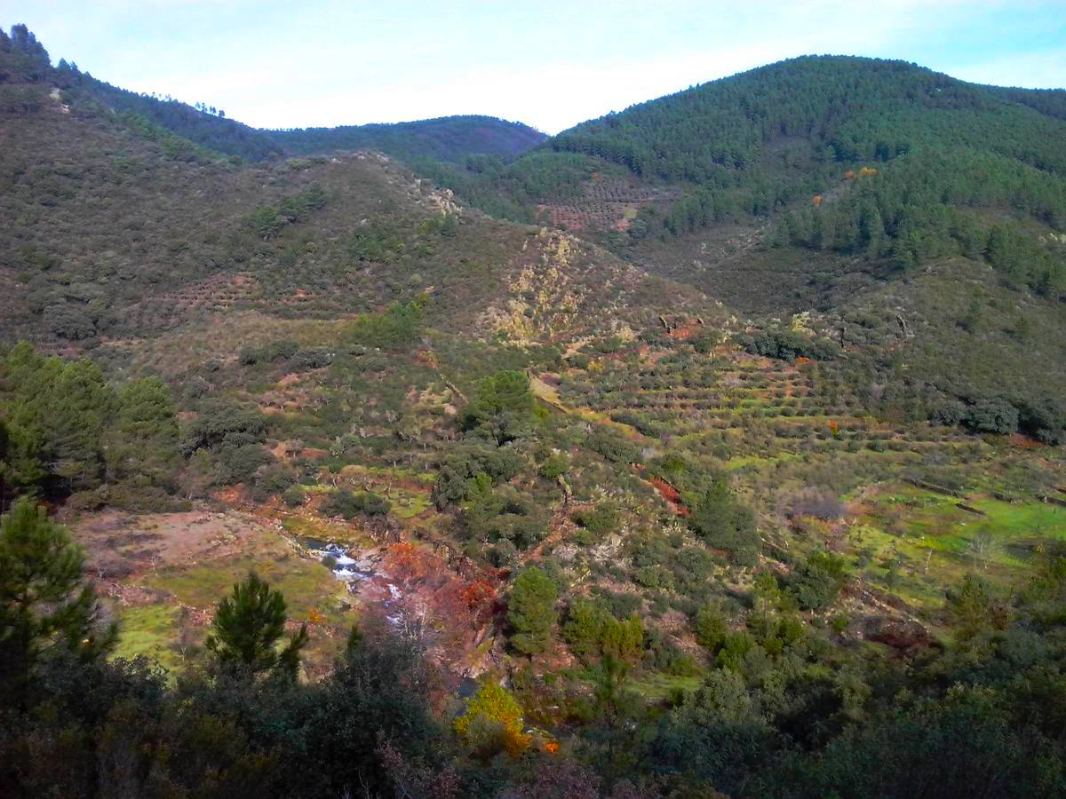 Las lluvias otoñales dan fuerza al Chorrituelo de Ovejuela