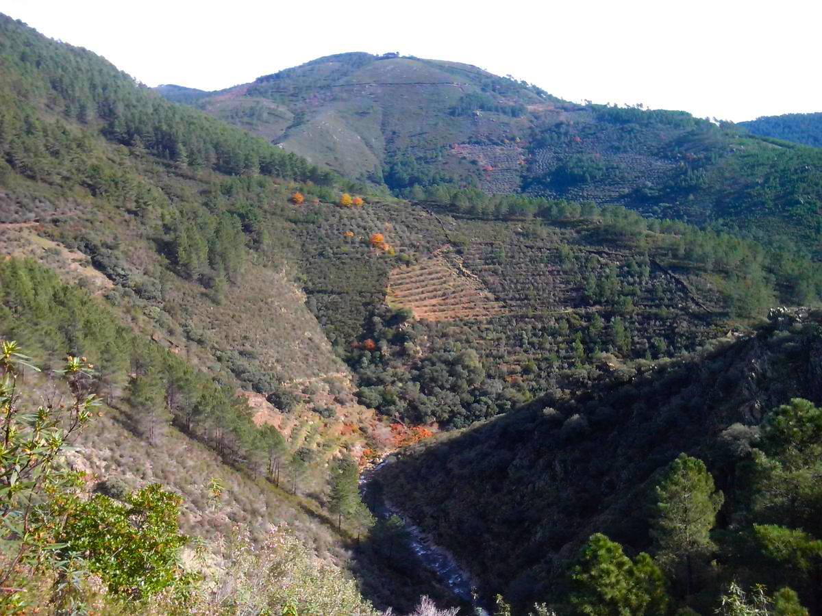 Las lluvias otoñales dan fuerza al Chorrituelo de Ovejuela