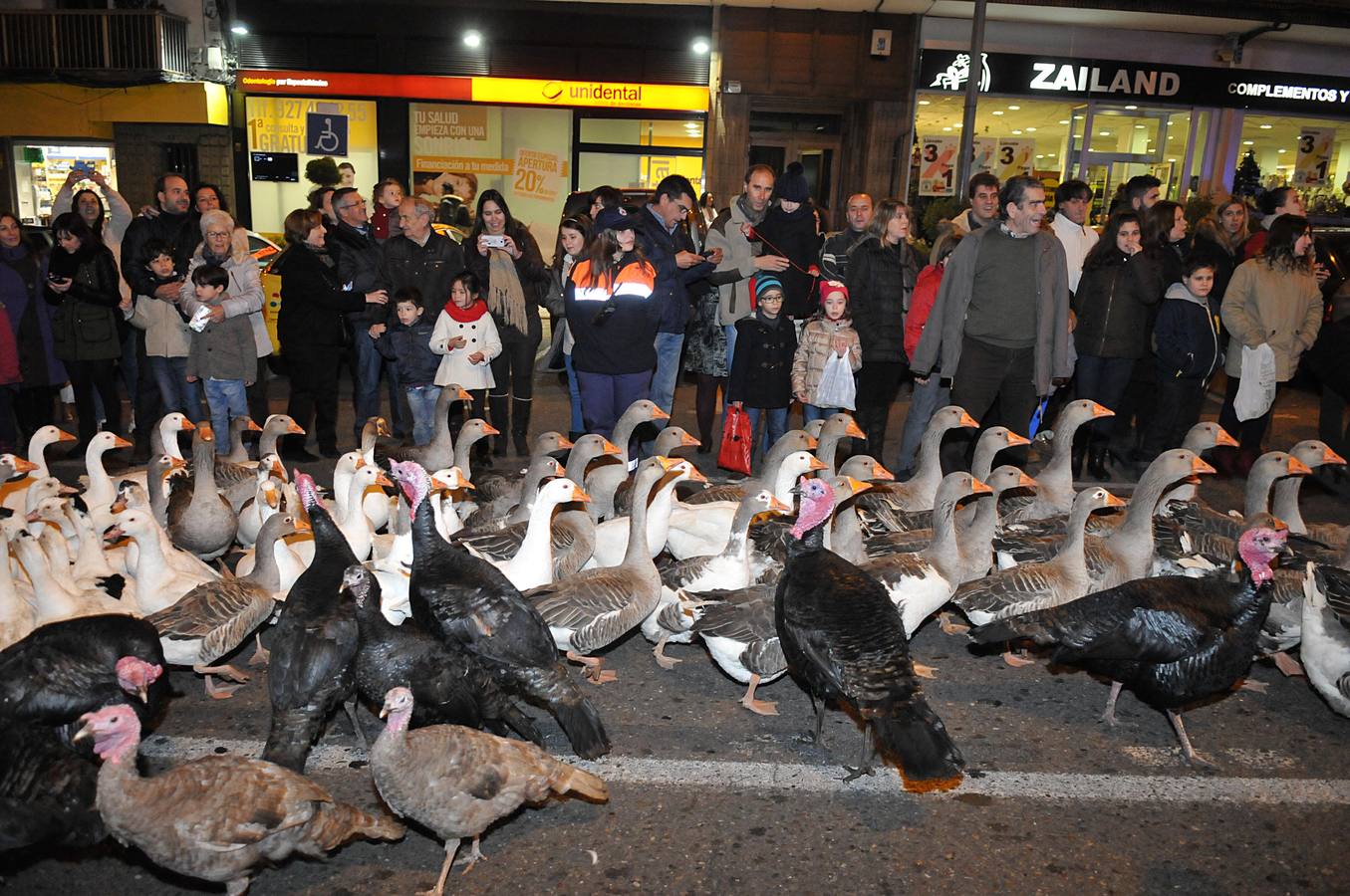 Los Reyes Magos recorren Cáceres y Plasencia