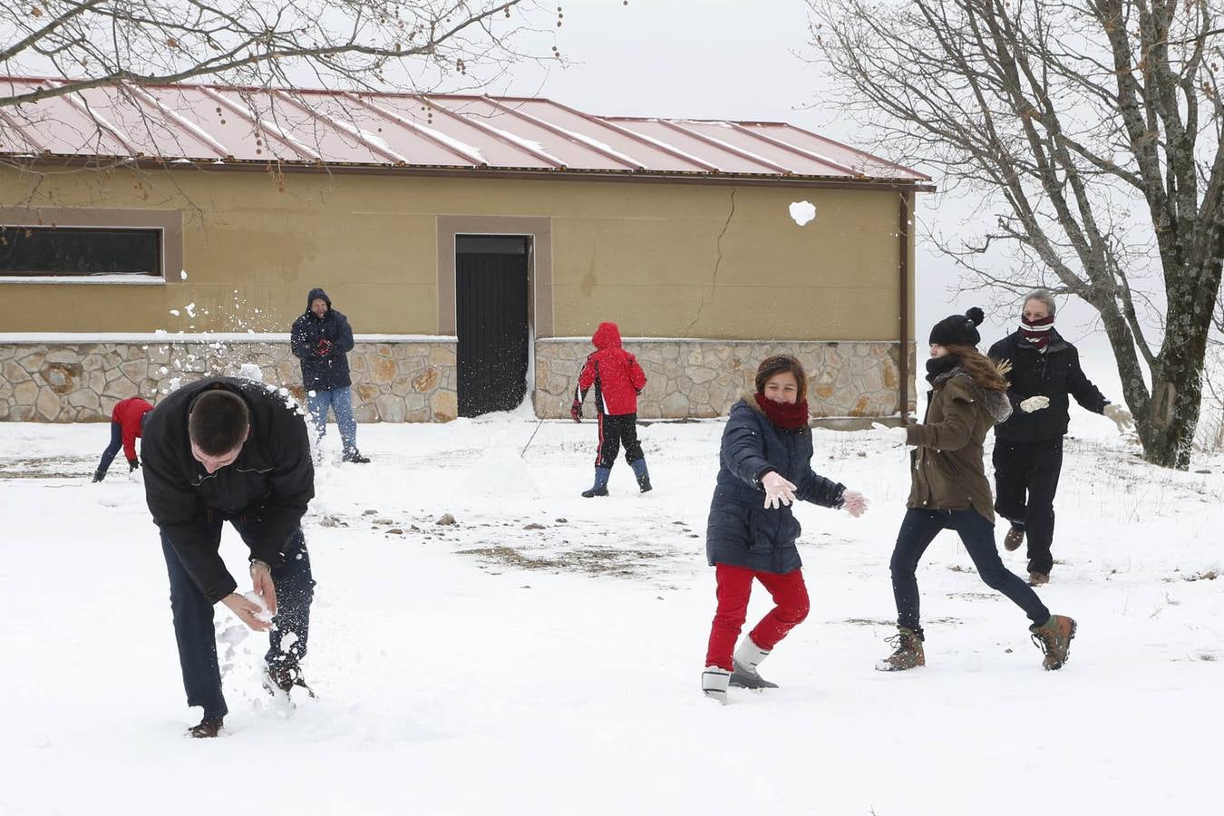 Domingo, 18 de enero: La primera nevada en Extremadura dejó cortada la carretera CC-102 en el Puerto de Honduras (Cáceres), en el municipio de Piornal, por la acumulación de nieve, El corte a la circulación se produjo entre los kilómetros 5 y 20 de la vía.También por nieve, había ayer dificultades entre Piornal y Garganta la Olla. Fotografia: Andy Solé