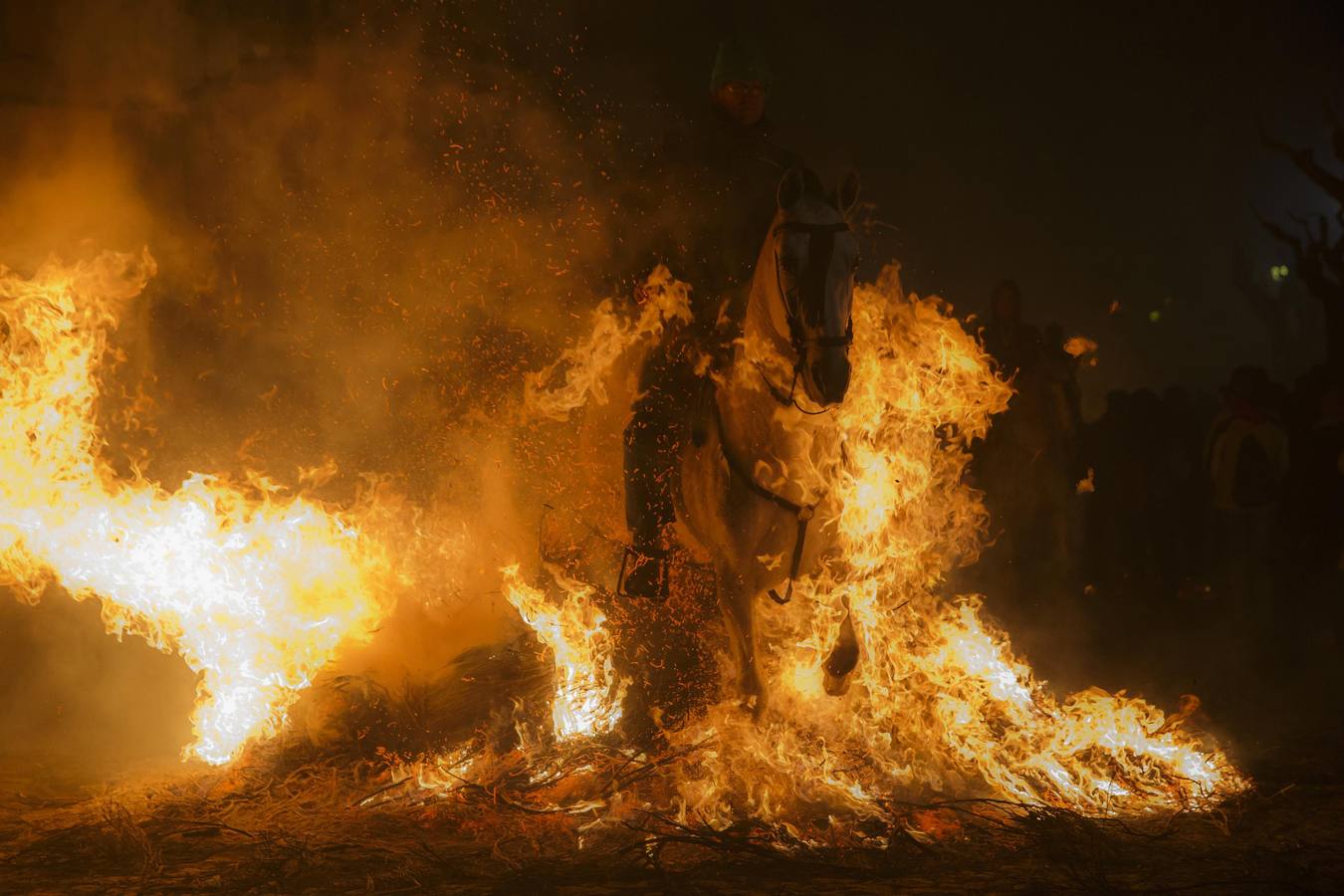 Sábado, 17 de enero: La pequeña localidad abulense de San bartolomé de Pinares volvió a vivir una noche mágica, sumergida bajo una espesa nube de humo que sirvió para purificar al centenar de caballos que pasó por la veintenas de luminarias distribuidadas por las empinadas calles del pueblo. Fotografia: Juan Medina / Reuters