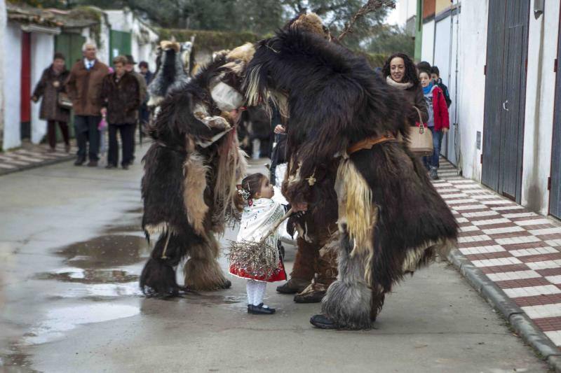 Las Carantoñas recorren Acehúche