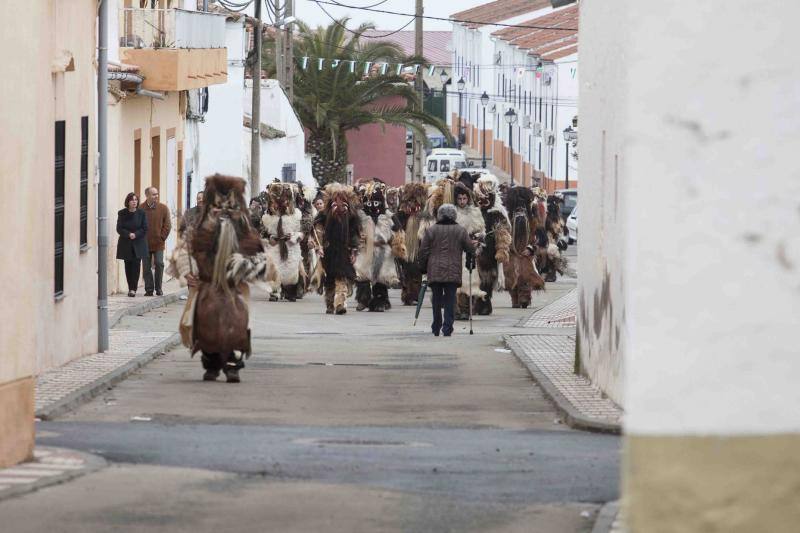 Las Carantoñas recorren Acehúche
