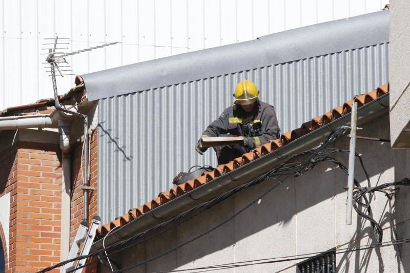 Efectos del temporal en Plasencia