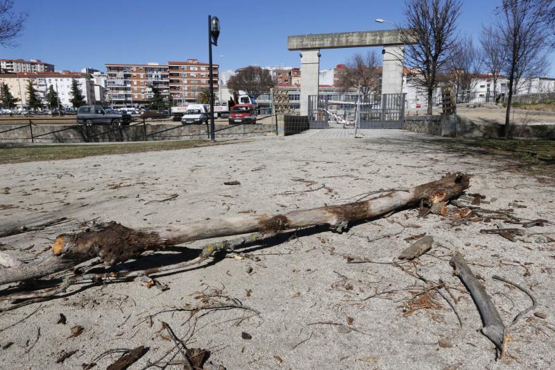 Efectos del temporal en Plasencia