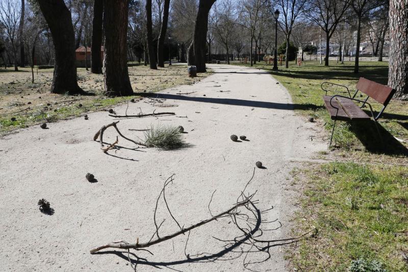 Efectos del temporal en Plasencia