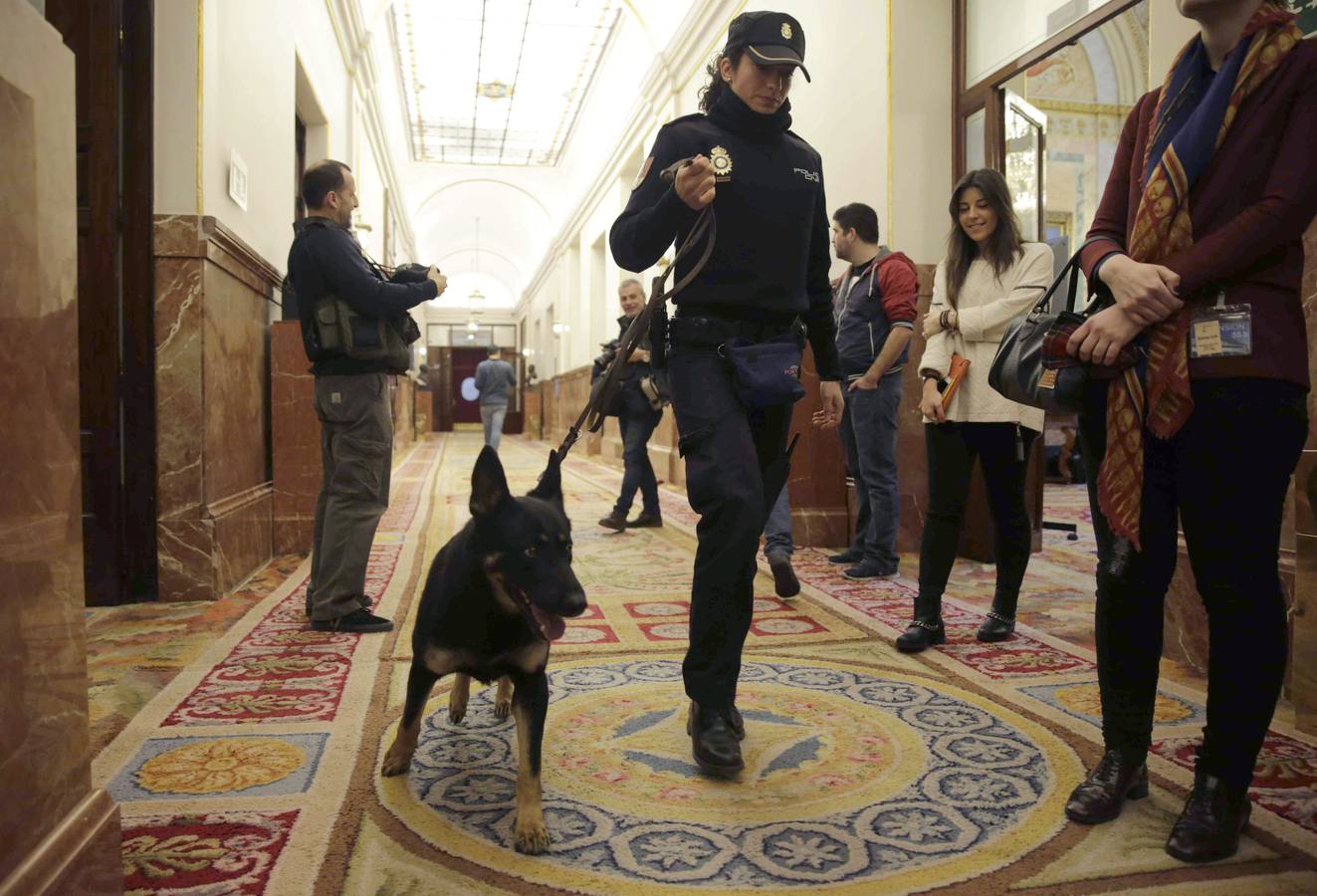 Seguridad en el Congreso. MADRID. Una agente de la Policía Nacional con un perro inspecciona los pasillos del Congreso de los Diputados donde a mediodía da comienzo en el hemicíclo de la Cámara Baja el vigésimo quinto Debate del estado de la Nación, la cita parlamentaria anual más importante del año, que comenzará con la intervención del presidente del Gobierno, Mariano Rajoy.