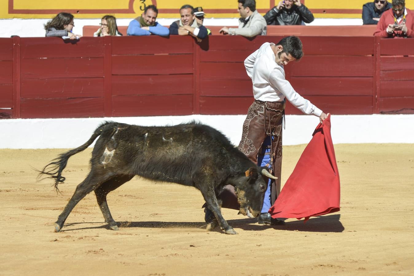 Capea de Talavante en Olivenza
