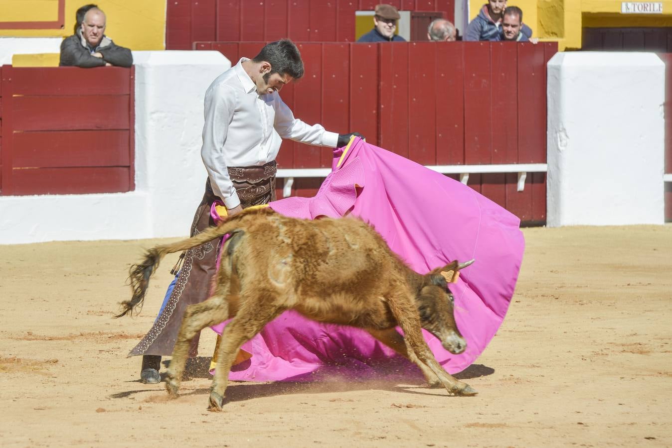 Capea de Talavante en Olivenza