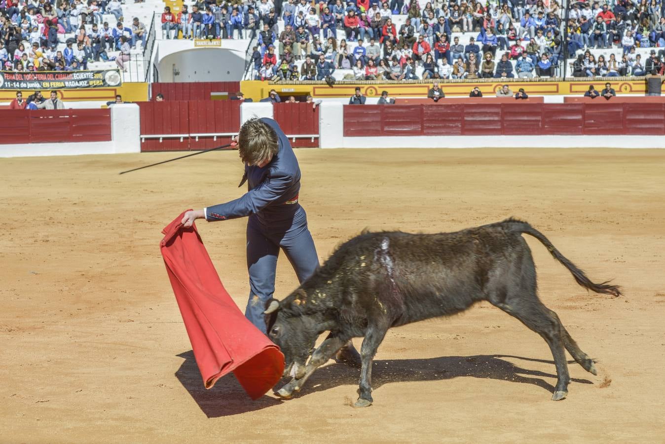 Capea de Talavante en Olivenza