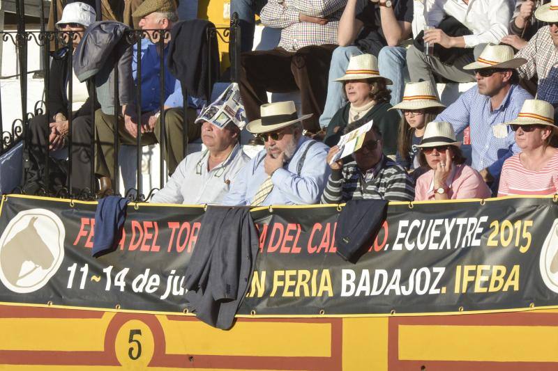 Los tendidos en la primera tarde de Olivenza