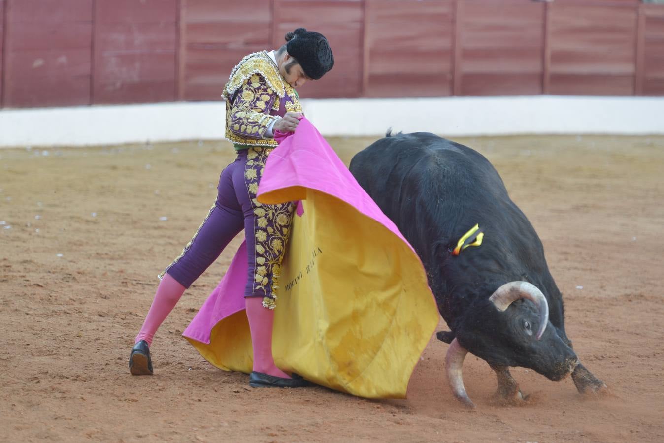 Las mejores imágenes de la Feria de Olivenza
