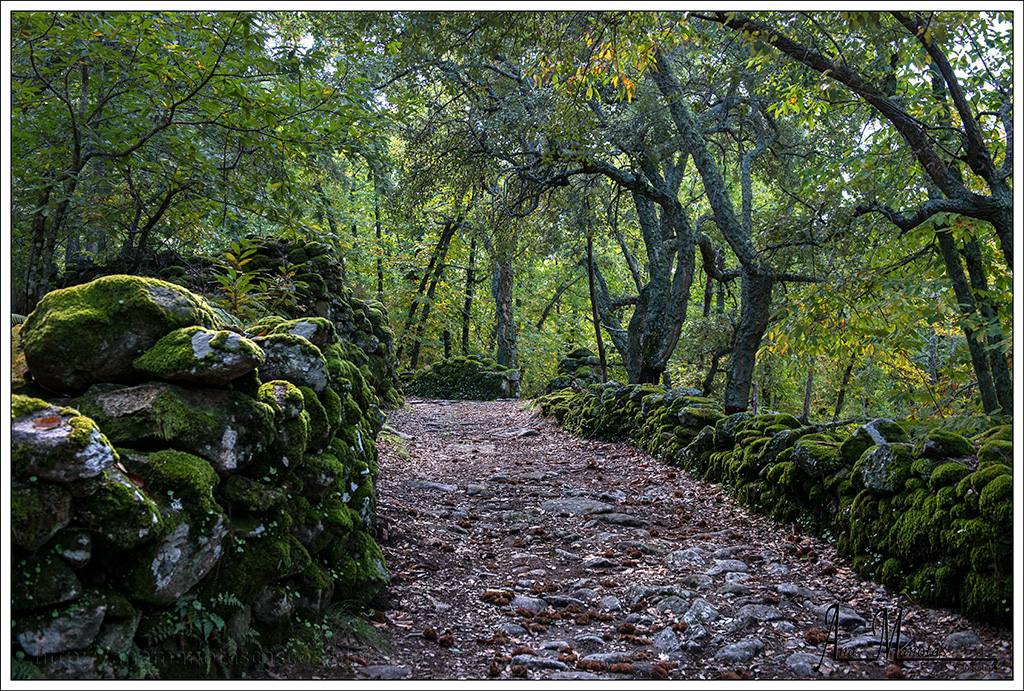 Camino en Montanchez