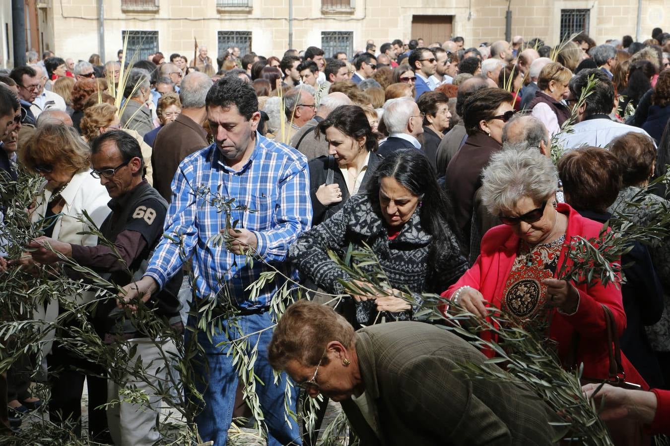 Domingo de Ramos de Plasencia