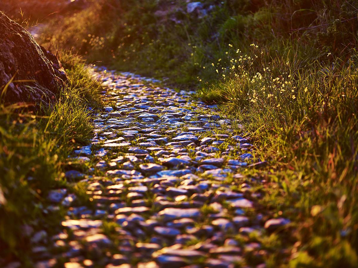 Camino a la fortaleza