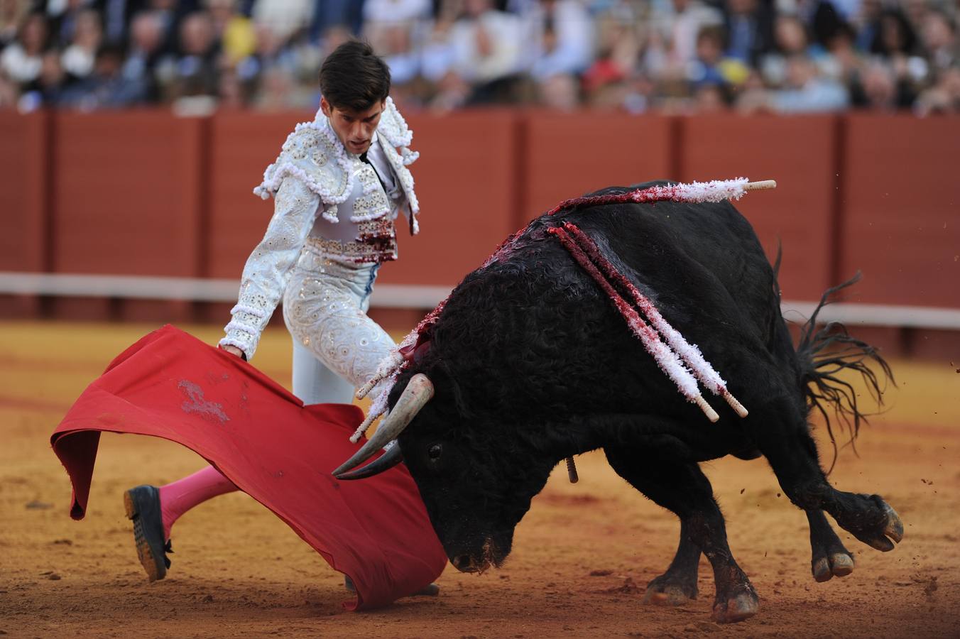 Alternativa de Garrido, torero de emoción