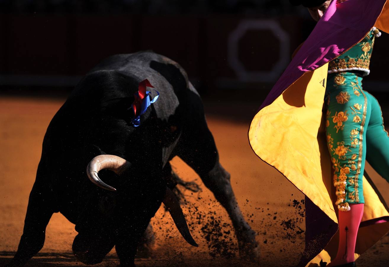 Una faena magistral de Antonio Ferrera