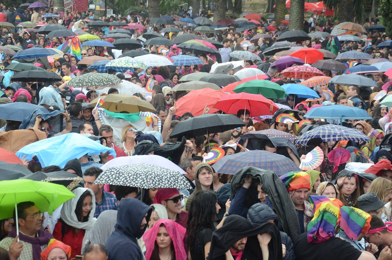 Los Palomos desafían a la lluvia