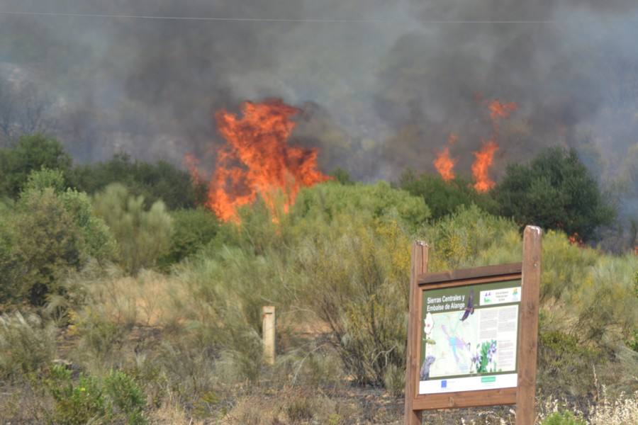 Incendio en la Sierra de San Serván