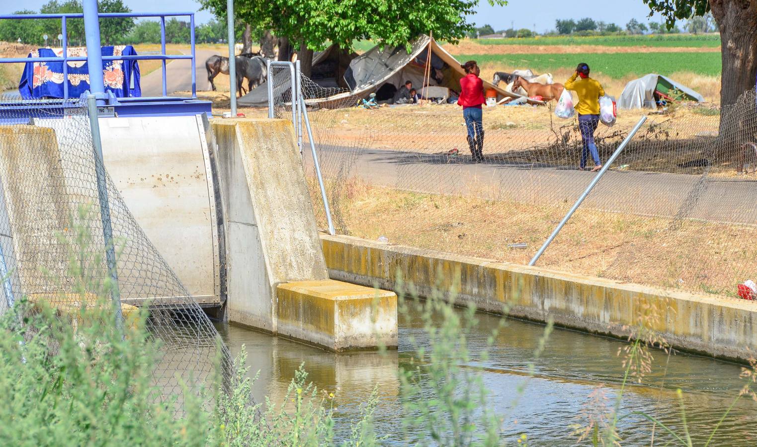 Viernes, 12 de junio: Muere una niña portuguesa de 18 meses tras caer al canal de Lobón en Talavera la Real. Fotografías: Casimiro Moreno