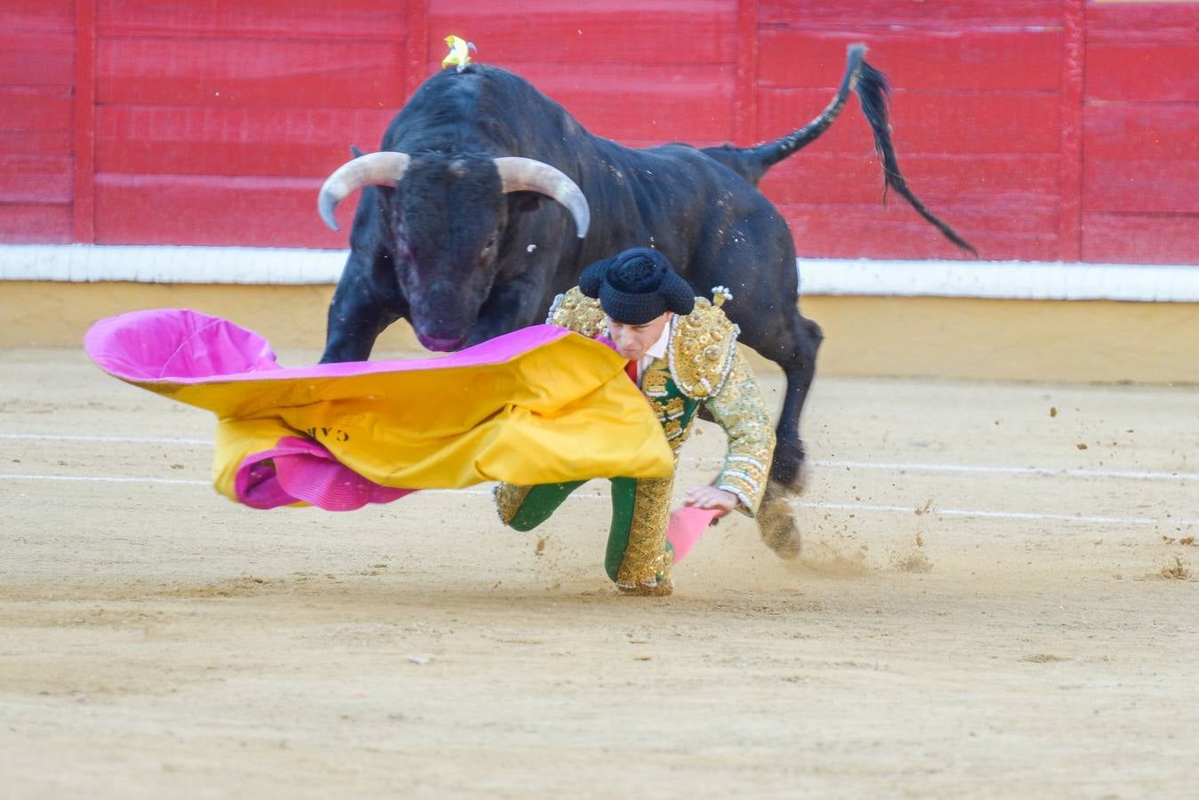 Jueves, 25 de junio: Novillada de la Feria de San Juan. Salieron por la puerta Grande Posada de Maravillas y Ginés Marín. Juan Carlos Carballo se tuvo que conformar con una oreja. Fotografías: JV Arnelas